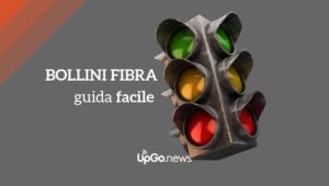 Bollini Fibra