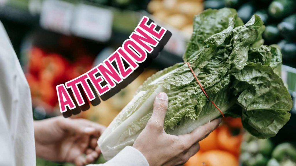 Scopri come comprare l'insalata migliore