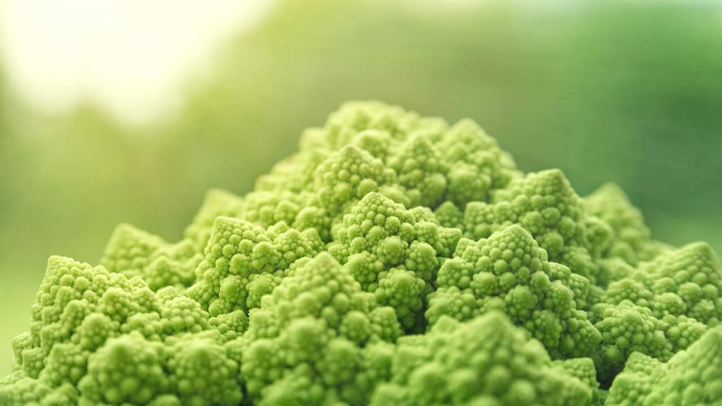 Scopri come non far puzzare casa dopo la cottura dei broccoli e del cavolo